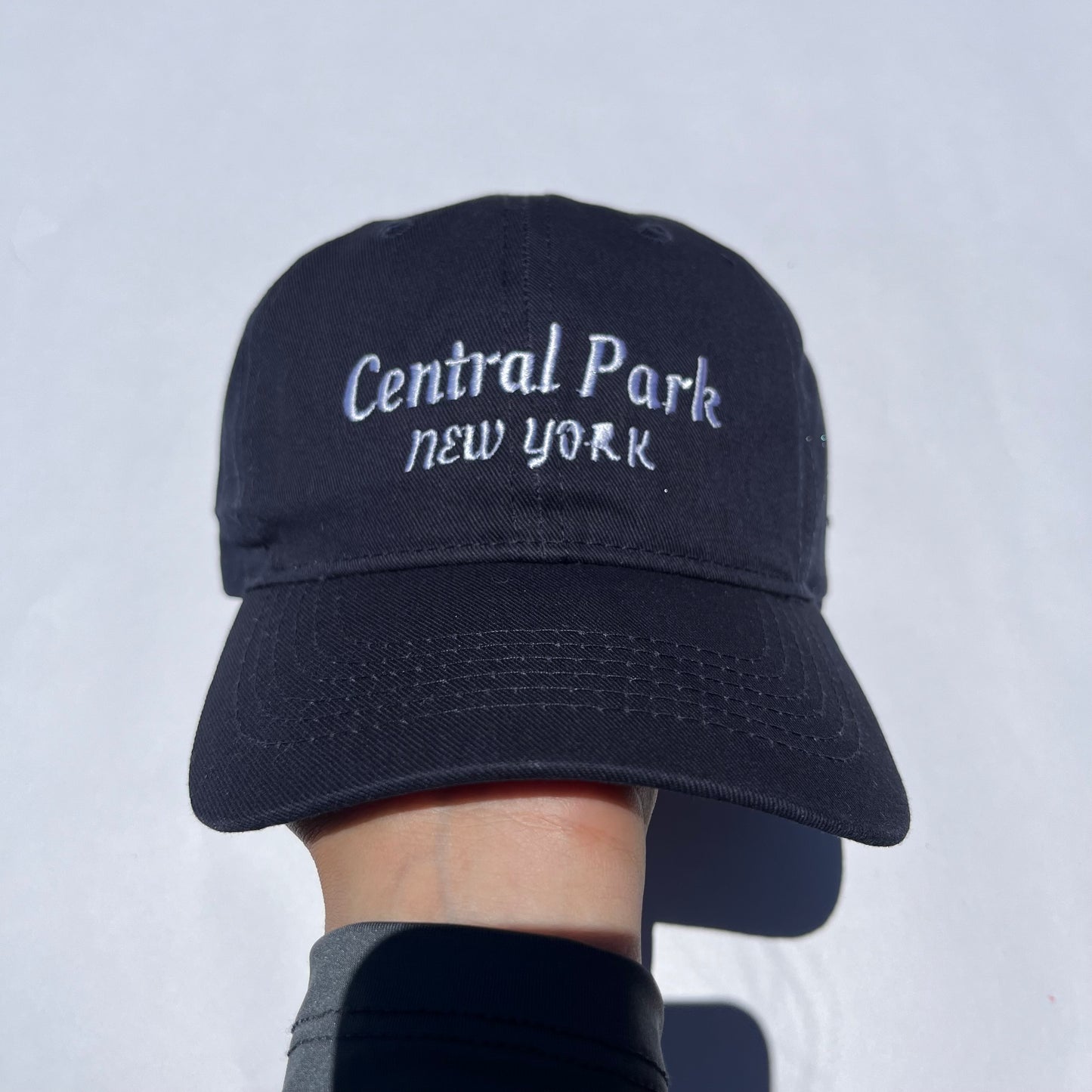 CENTRAL PARK🪁