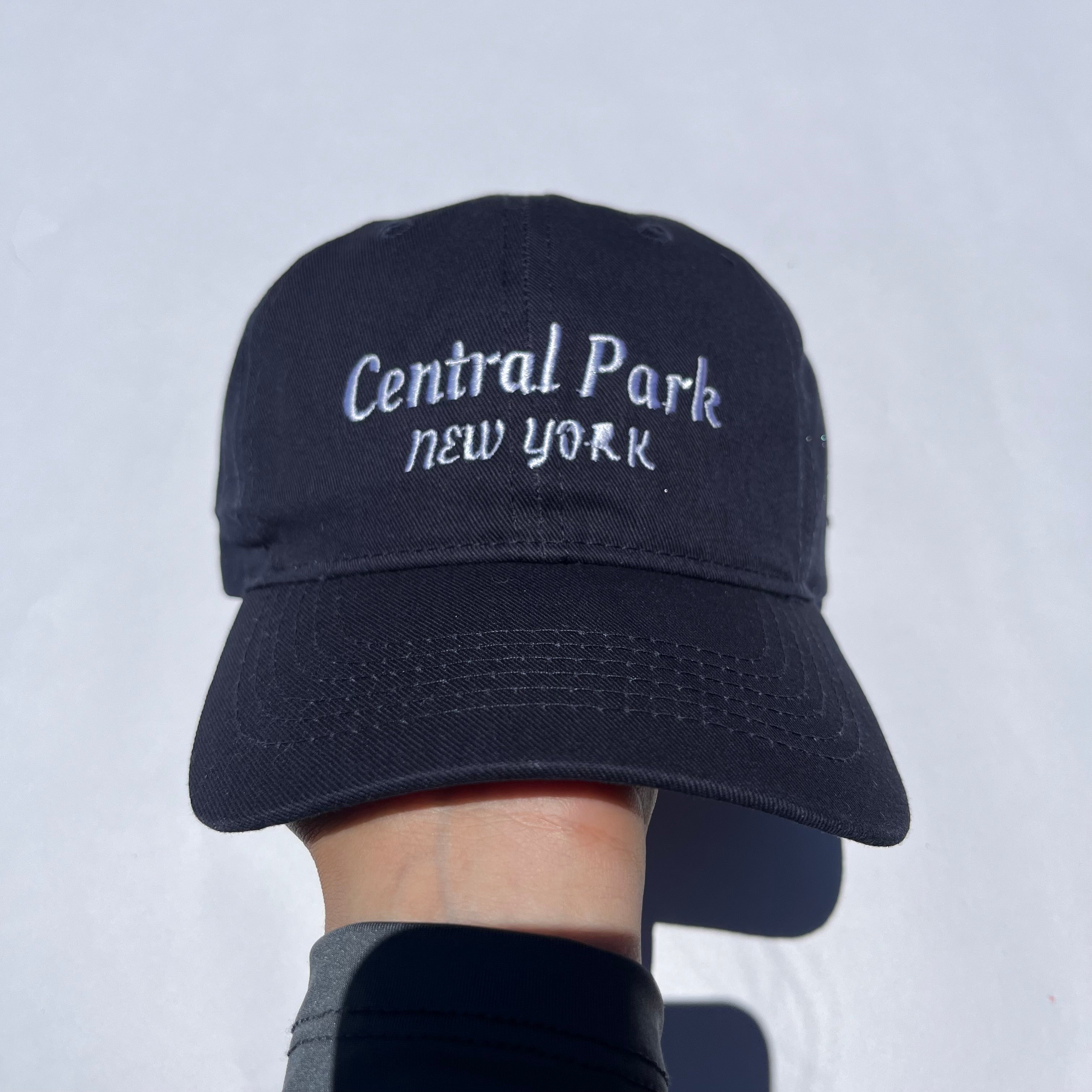 CENTRAL PARK🪁
